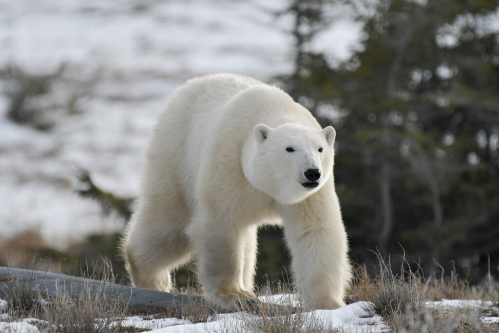 DSC_0228_web_slider_3072lk