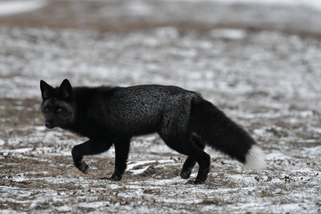 DSC_7151_web_slider_3072lk