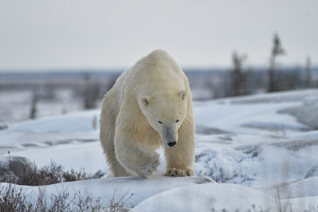 DSC_7667_web_slider_3072lk